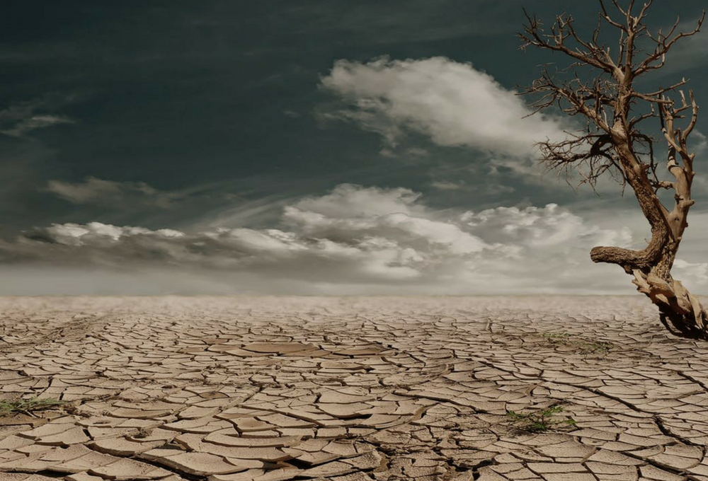 España se muere de sed por la sequía