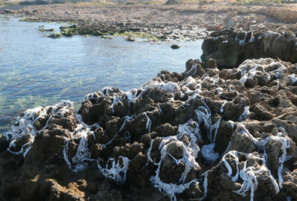 Las toallitas húmedas, una amenaza para los océanos