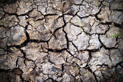 El cambio climático provocará sequías más frecuentes y severas en la cuenca del Júcar