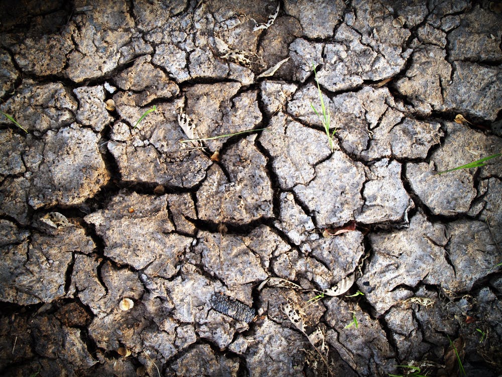El cambio climático provocará sequías más frecuentes y severas en la cuenca del Júcar