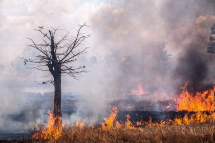 ¿Existe relación entre los incendios de California y el calentamiento global?