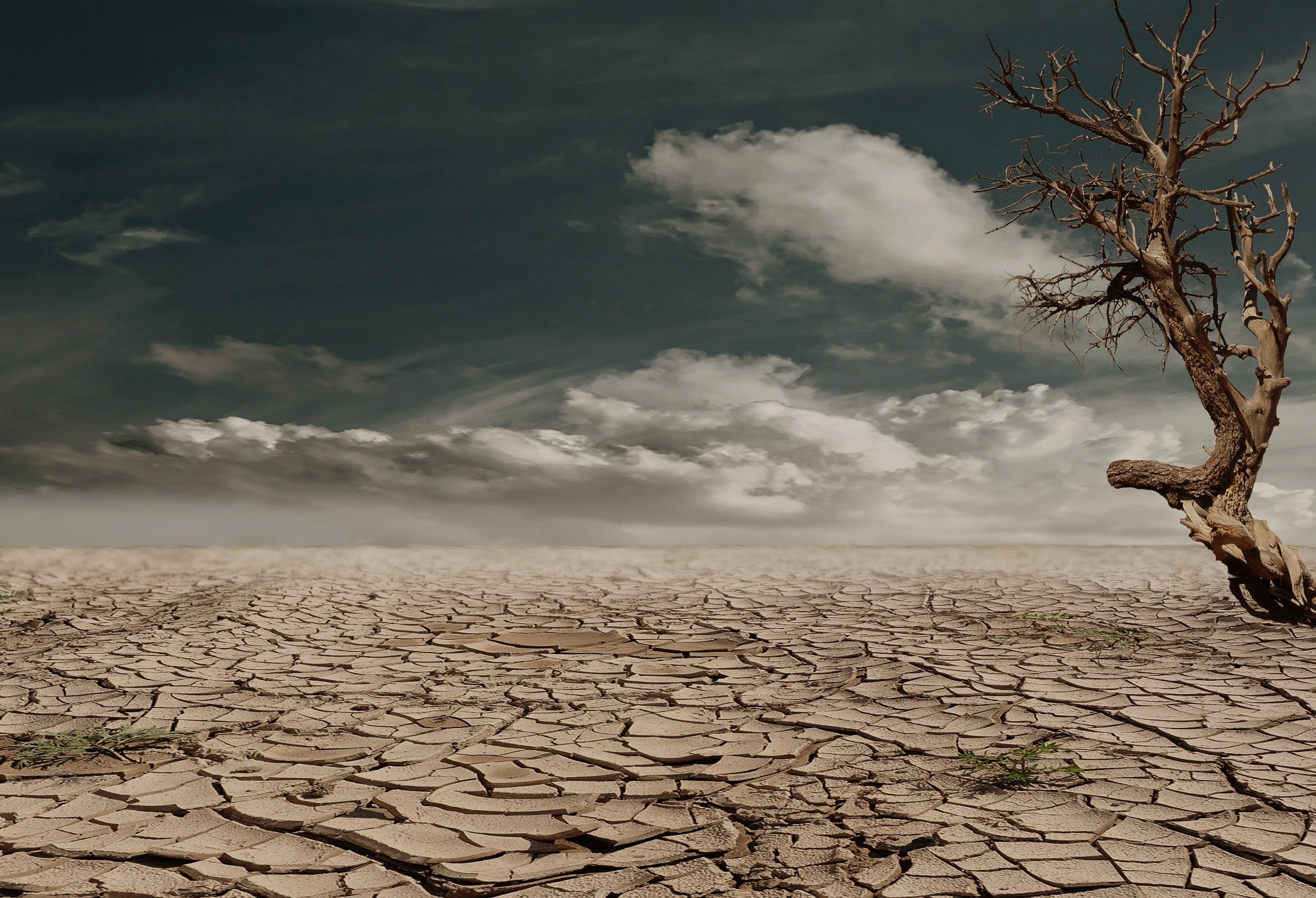 La crisis climática está acelerando la desertificación